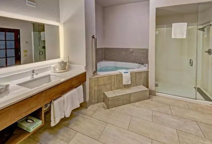 Standard-huone King-vuode, Holiday Inn Express Hotel & Suites Corsicana By Ihg