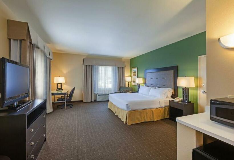 스탠다드 룸 킹사이즈 침대, Holiday Inn Express Hotel & Suites Eagle Pass, An Ihg