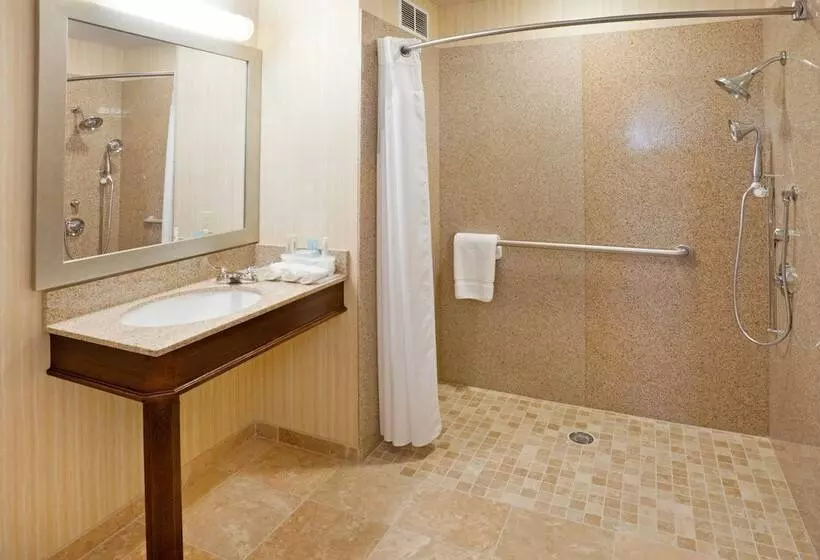 Standard-huone, Holiday Inn Express Hotel & Suites Eagle Pass, An Ihg