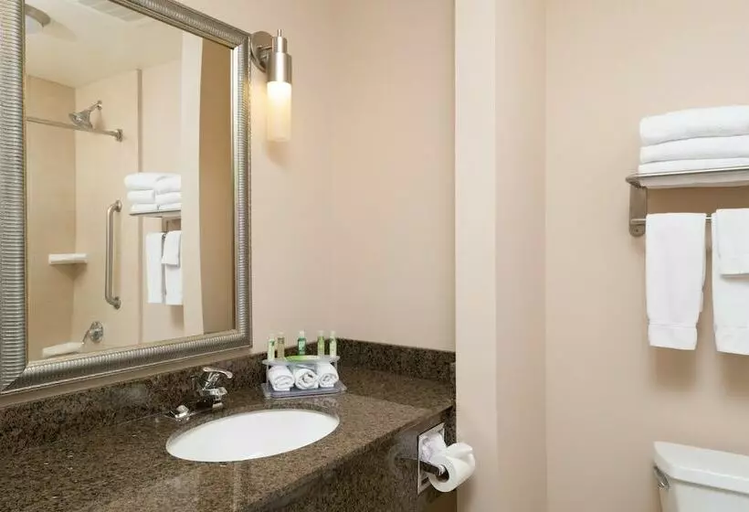 スタンダードルーム, Holiday Inn Express Hotel & Suites North Sequim, An Ihg