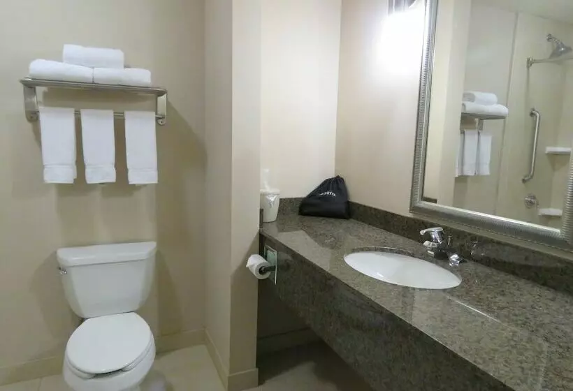 スタンダードルーム, Holiday Inn Express Hotel & Suites North Sequim, An Ihg