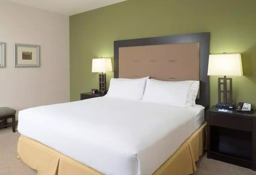 キングサイズベッドのスタンダードルーム, Holiday Inn Express Hotel & Suites North Sequim, An Ihg