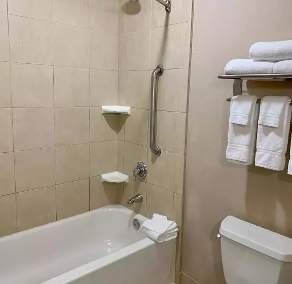 キングサイズベッドのスタンダードルーム, Holiday Inn Express Hotel & Suites North Sequim, An Ihg