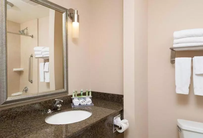 スイート, Holiday Inn Express Hotel & Suites North Sequim, An Ihg