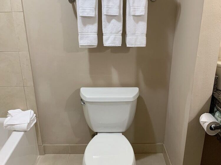 스탠다드 룸, Holiday Inn Express Hotel & Suites North Sequim, An Ihg