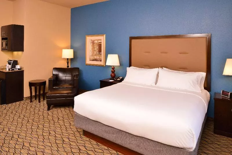 اتاق اجرایی با تخت بزرگ, Holiday Inn Express Hotel & Suites Wichita Falls, An Ihg