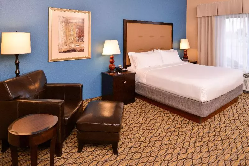 اتاق اجرایی با تخت بزرگ, Holiday Inn Express Hotel & Suites Wichita Falls, An Ihg