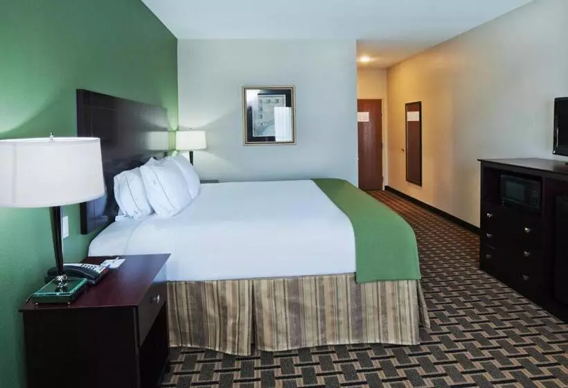 キングサイズベッドのスタンダードルーム, Holiday Inn Express Hotels & Suites Jacksonville, An Ihg