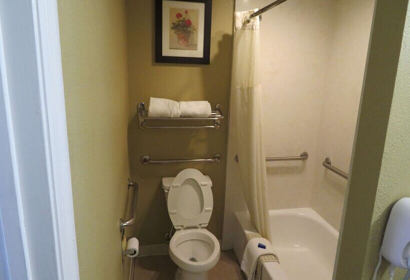 غرفة قياسية لذوى الاحتياجات الخاصة, Best Western Athens