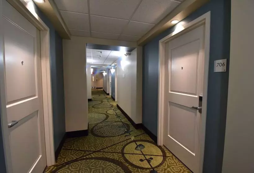 اتاق استاندارد برای معلولان, Best Western Athens