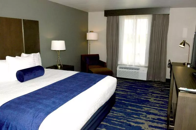 اتاق استاندارد با تخت بزرگ, Garner Hotel Longview South, An Ihg