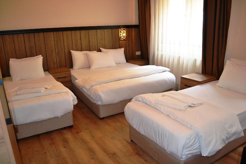 适合残疾人使用的标准间, Garner Hotel Longview South, An Ihg