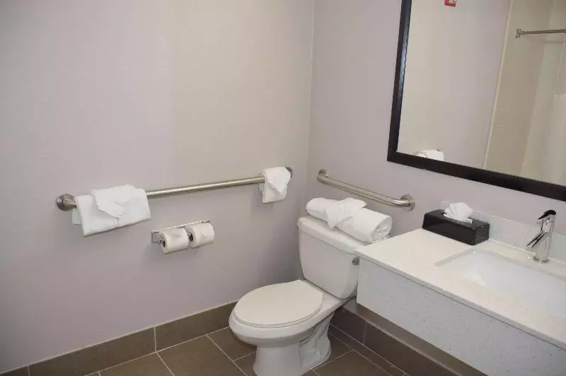 اتاق استاندارد برای معلولان, Garner Hotel Longview South, An Ihg