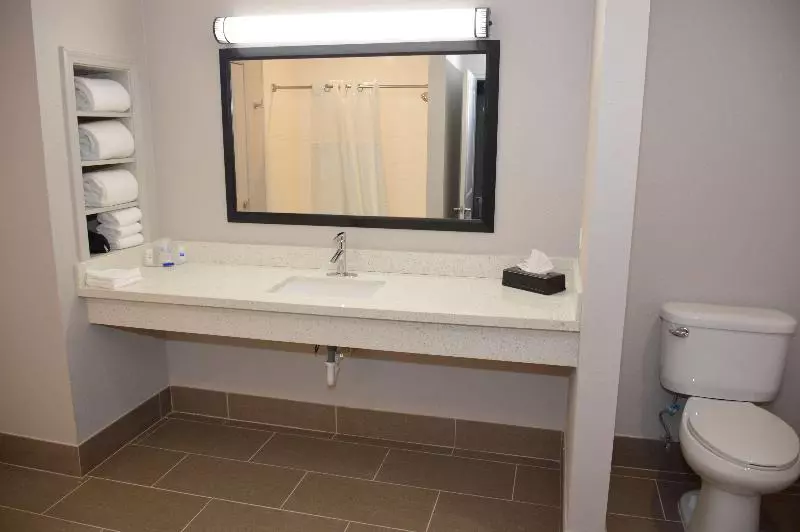 سوییت, Garner Hotel Longview South, An Ihg