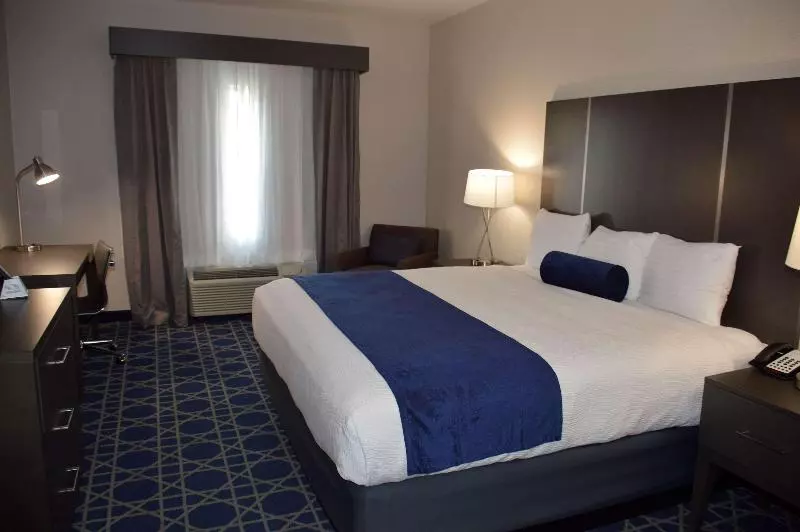سوئیت با تخت بزرگ, Garner Hotel Longview South, An Ihg