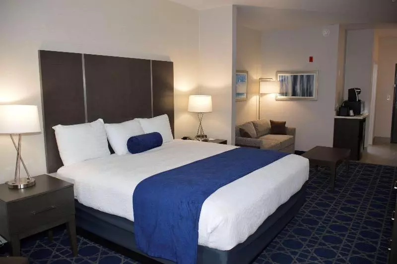 سوئیت با تخت بزرگ, Garner Hotel Longview South, An Ihg