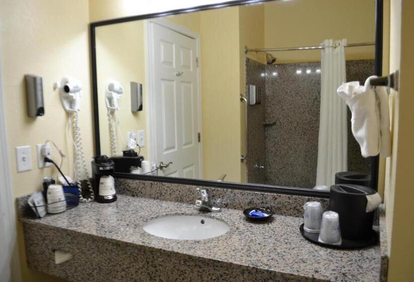 اتاق استاندارد با تخت بزرگ, Best Western Sherwood Inn & Suites