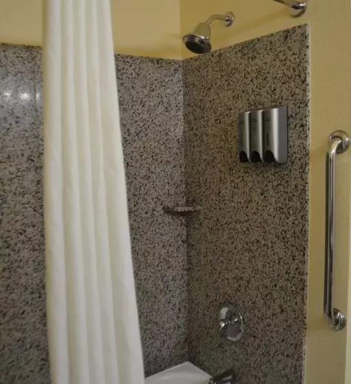 キングサイズベッドのデラックススイート, Best Western Sherwood Inn & Suites