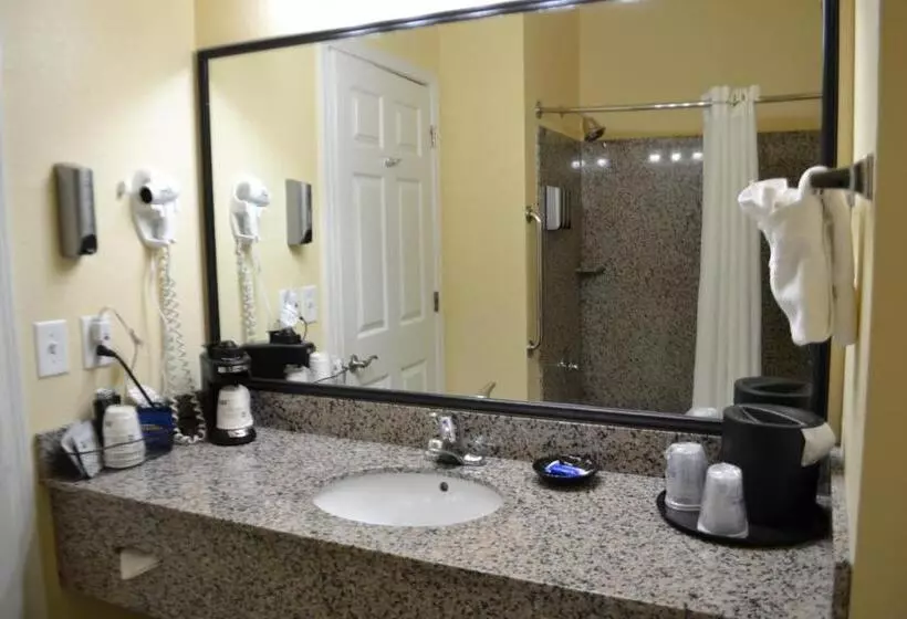 キングサイズベッドのデラックススイート, Best Western Sherwood Inn & Suites