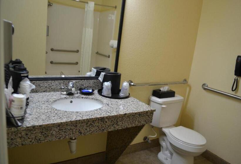 اتاق استاندارد با تخت بزرگ برای معلولان, Best Western Sherwood Inn & Suites