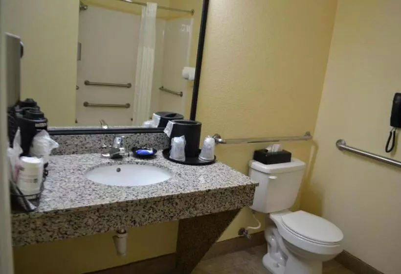 身障者適用キングサイズベッドルーム, Best Western Sherwood Inn & Suites