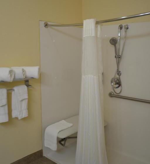 اتاق استاندارد با تخت بزرگ برای معلولان, Best Western Sherwood Inn & Suites