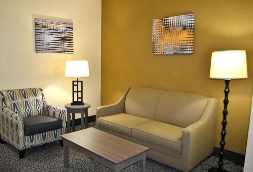 سوئیت با تخت بزرگ, Best Western Sherwood Inn & Suites