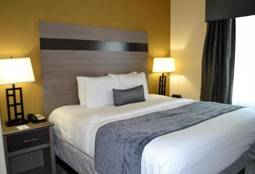 キングサイズベッドのスイートルーム, Best Western Sherwood Inn & Suites