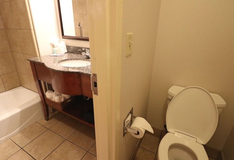 اتاق استاندارد با 2 تخت دوبل, The Walden, Trademark Collection By Wyndham