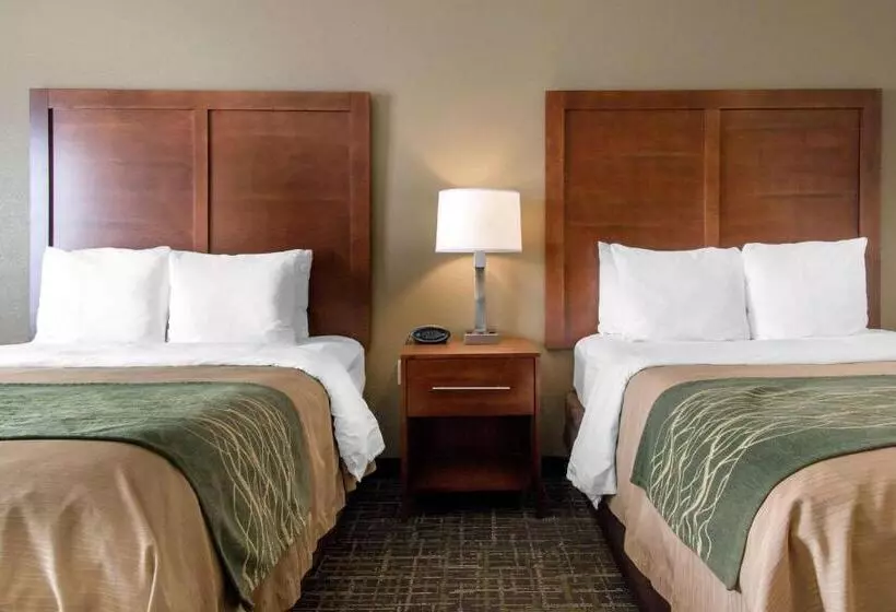 スタンダードルーム, Comfort Inn & Suites Norman Near University