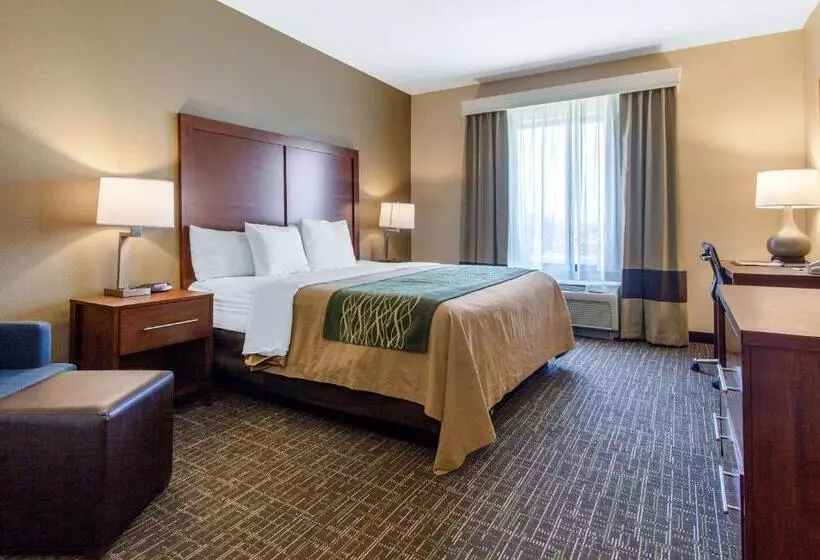 キングサイズベッドのスタンダードルーム, Comfort Inn & Suites Norman Near University