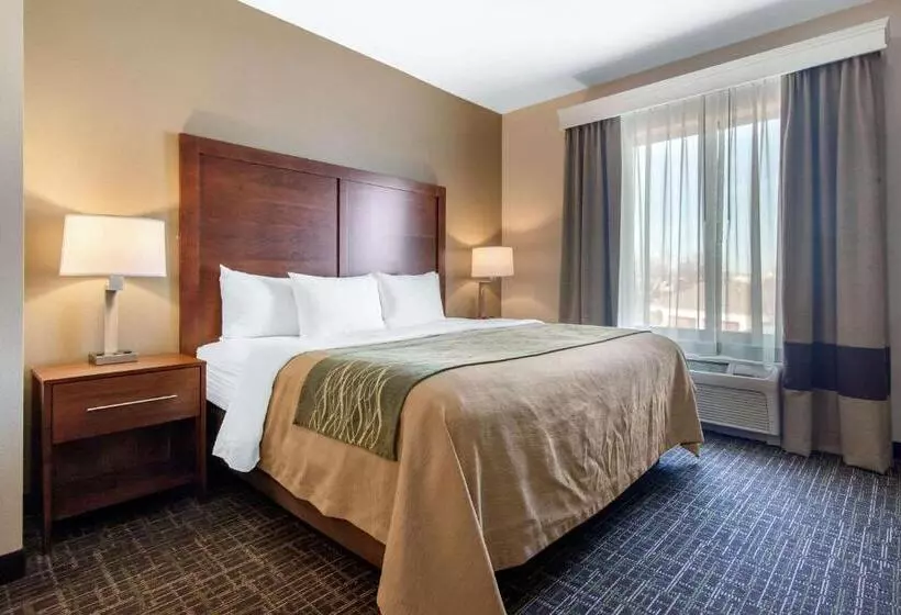 キングサイズベッドのスタンダードルーム, Comfort Inn & Suites Norman Near University