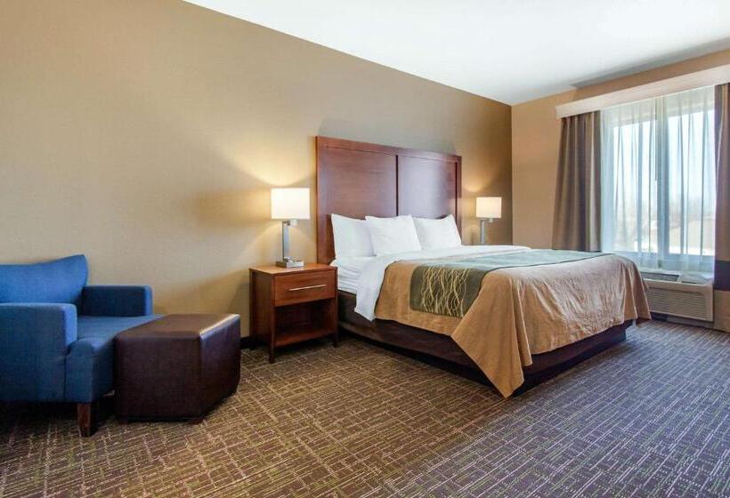 Стандартный Номер Кровать Кинг, Comfort Inn & Suites Norman Near University