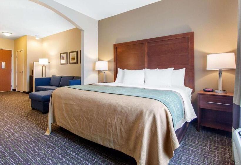 جناح سرير كينج, Comfort Inn & Suites Norman Near University