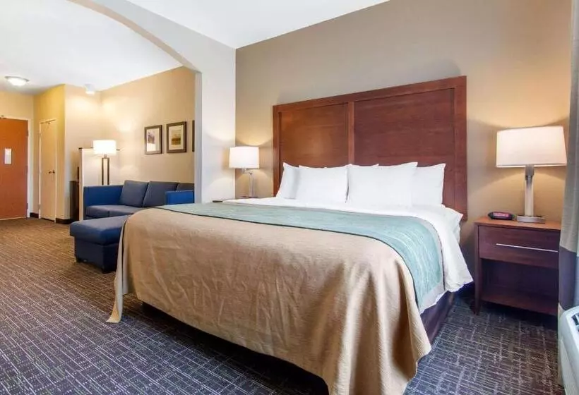 キングサイズベッドのスイートルーム, Comfort Inn & Suites Norman Near University