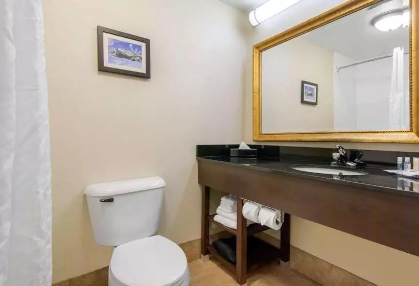 キングサイズベッドのスイートルーム, Comfort Inn & Suites Norman Near University
