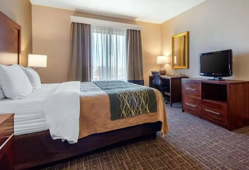 キングサイズベッドのスイートルーム, Comfort Inn & Suites Norman Near University