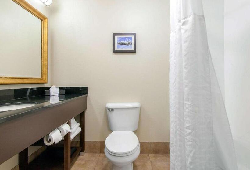 جناح سرير كينج, Comfort Inn & Suites Norman Near University