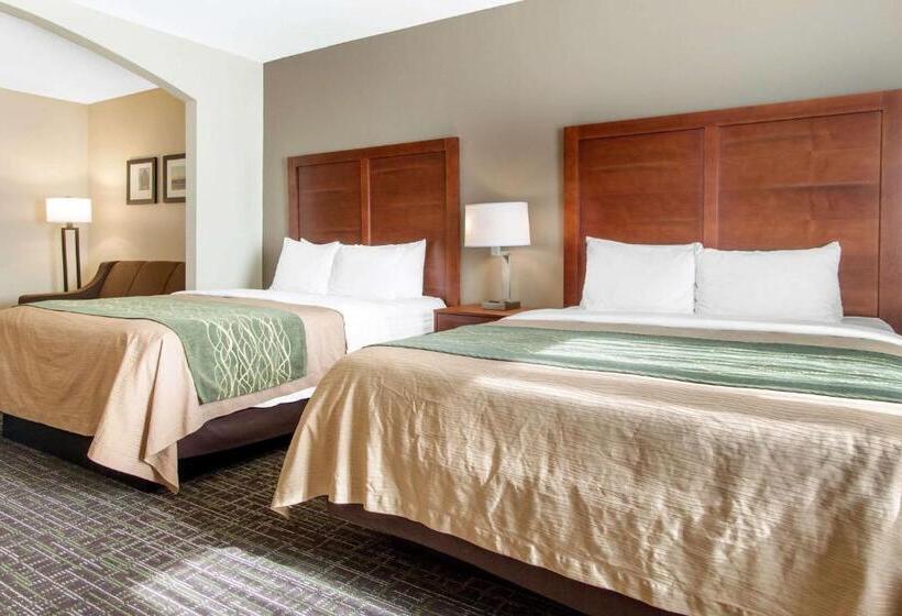 جناح, Comfort Inn & Suites Norman Near University