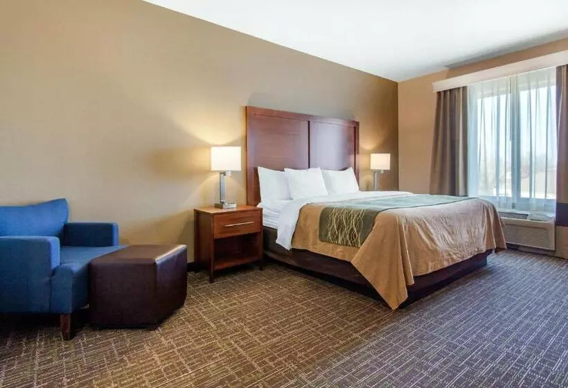 身障者適用キングサイズベッドルーム, Comfort Inn & Suites Norman Near University