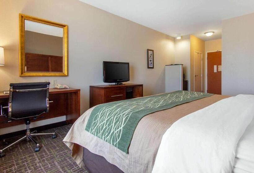 غرفة قياسية سرير كينج لذوى الإحتياجات الخاصة, Comfort Inn & Suites Norman Near University
