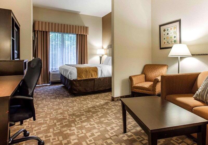 מיטת קינג בסוויטה, Comfort Suites At Kennesaw State University