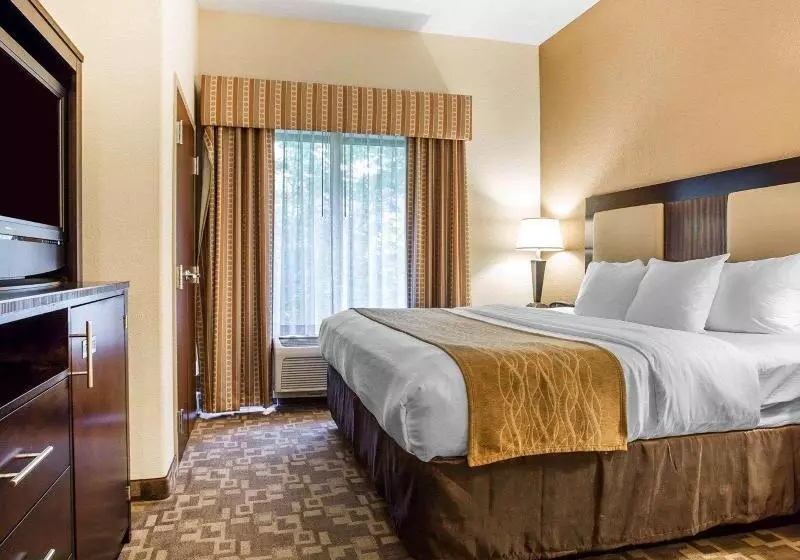 キングサイズベッドのスイートルーム, Comfort Suites At Kennesaw State University