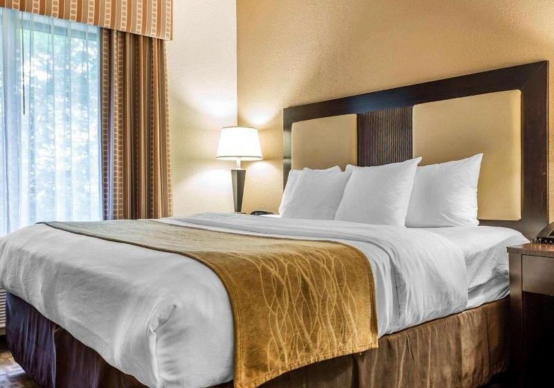 Suíte Cama King, Comfort Suites At Kennesaw State University