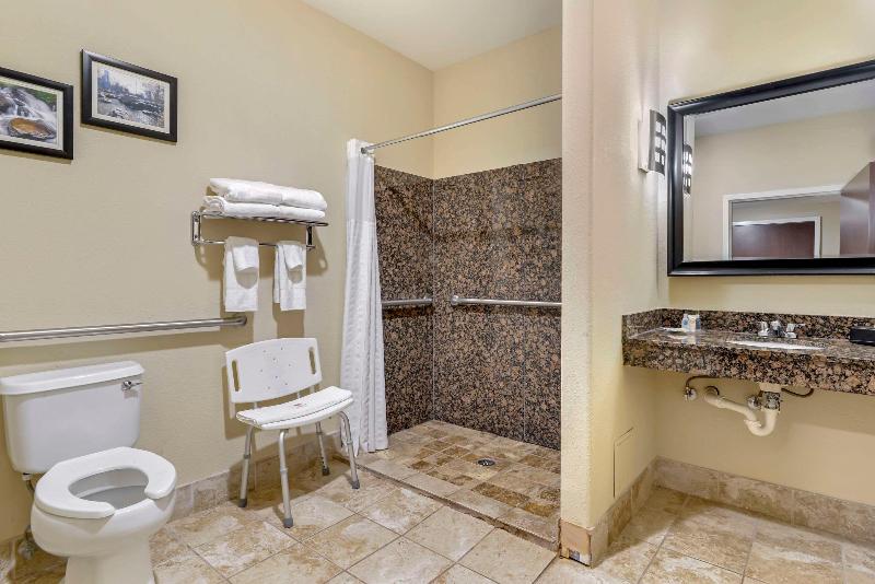 מיטת קינג בסוויטה, Comfort Suites At Kennesaw State University