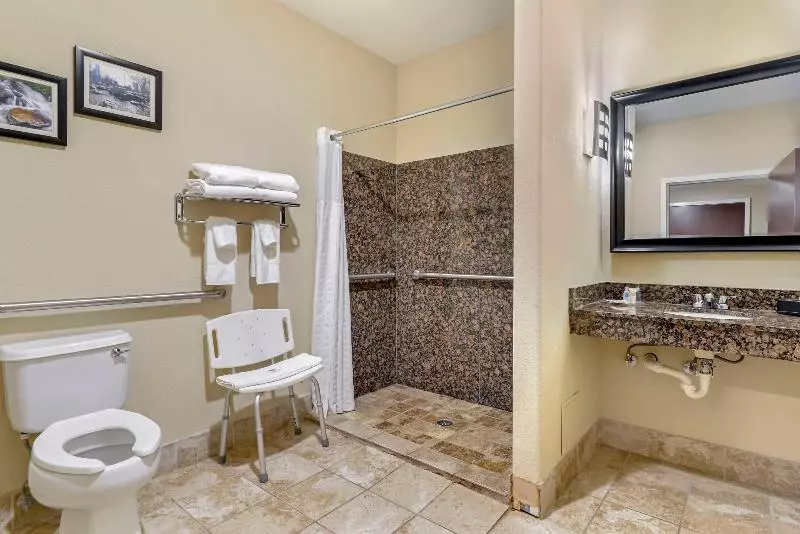 キングサイズベッドのスイートルーム, Comfort Suites At Kennesaw State University