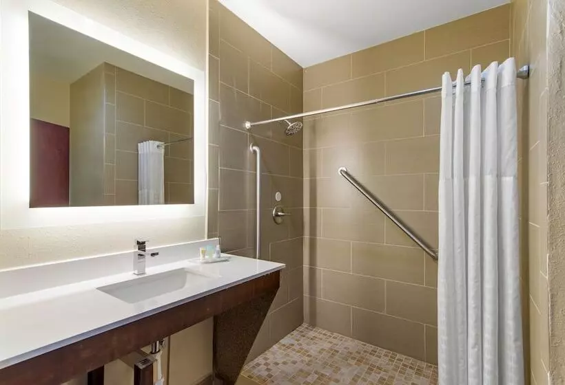 身障者適用スイートルーム, Comfort Suites Locust Grove Atlanta South