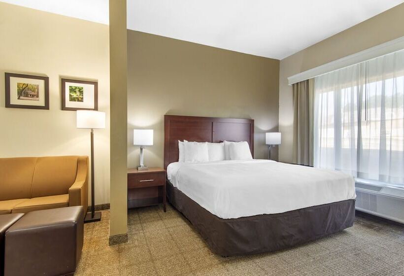 Люкс Адаптированный для Инвалидов, Comfort Suites Locust Grove Atlanta South