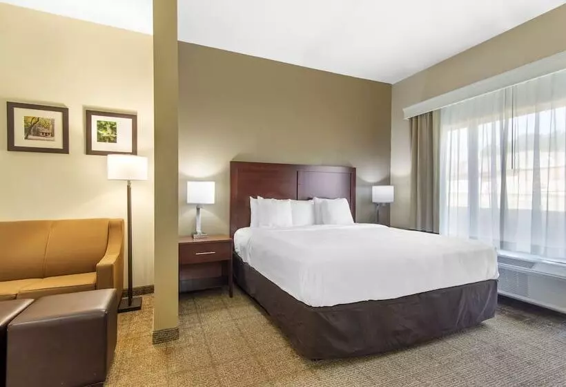 身障者適用スイートルーム, Comfort Suites Locust Grove Atlanta South