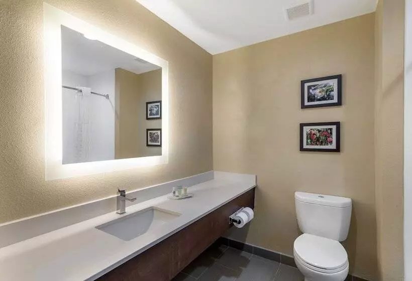 スイート, Comfort Suites Locust Grove Atlanta South